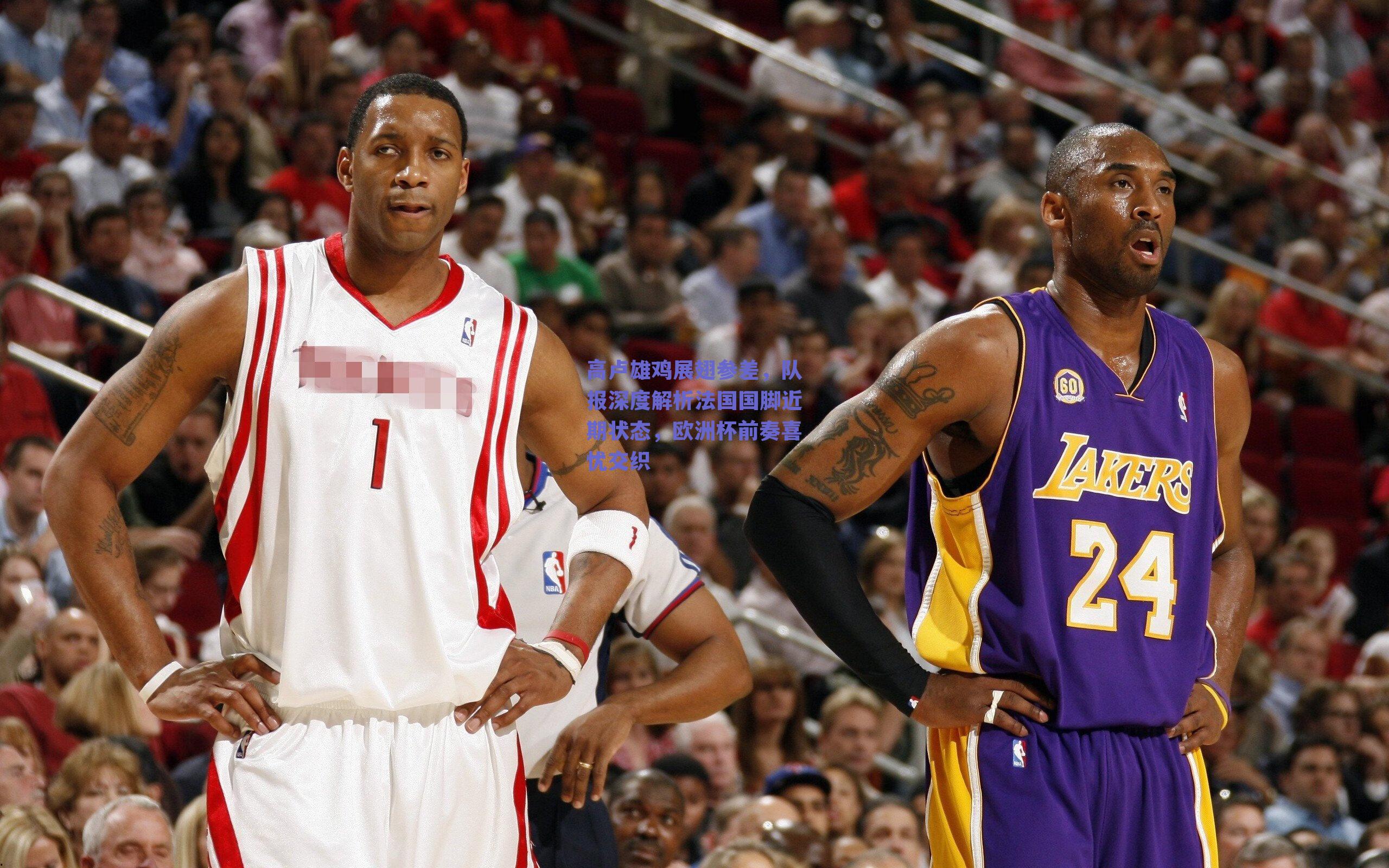 高卢雄鸡展翅参差，队报深度解析法国国脚近期状态，欧洲杯前奏喜忧交织