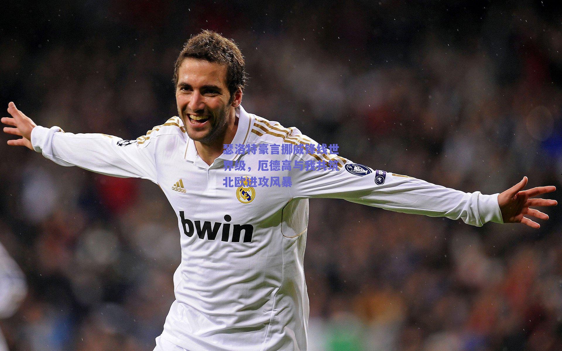 瑟洛特豪言挪威锋线世界级，厄德高与我共筑北欧进攻风暴