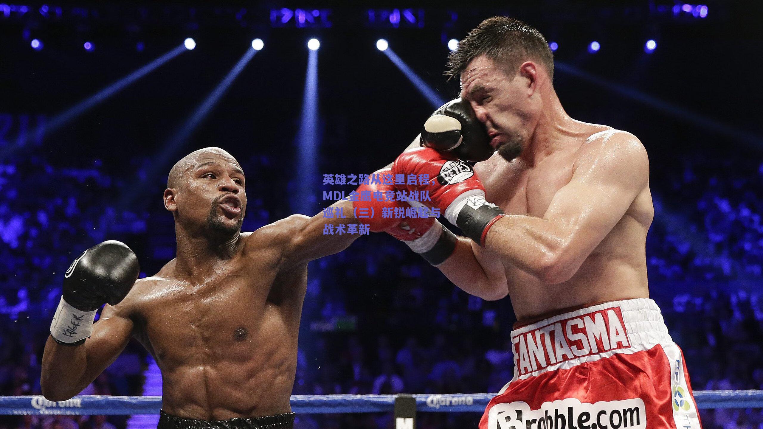 英雄之路从这里启程,MDL金鹰电竞站战队巡礼(三)新锐崛起与战术革新