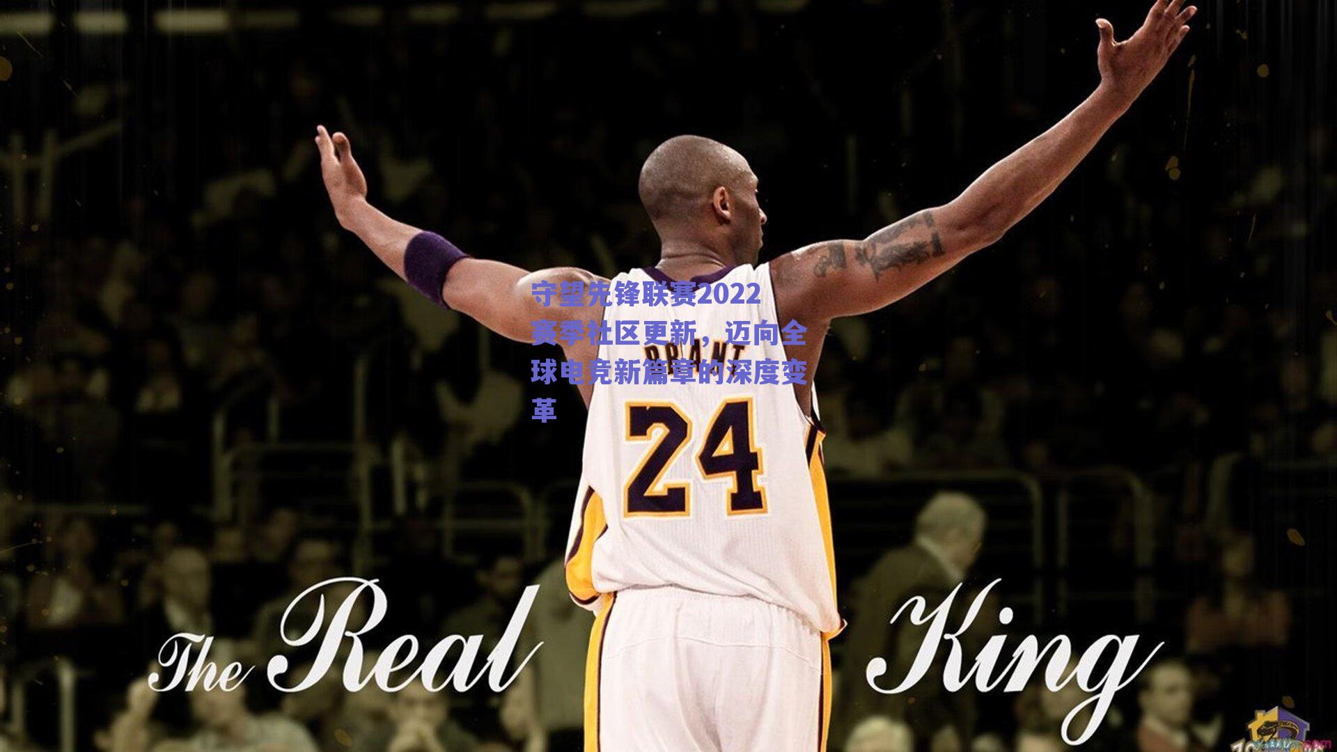 守望先锋联赛2022赛季社区更新，迈向全球电竞新篇章的深度变革